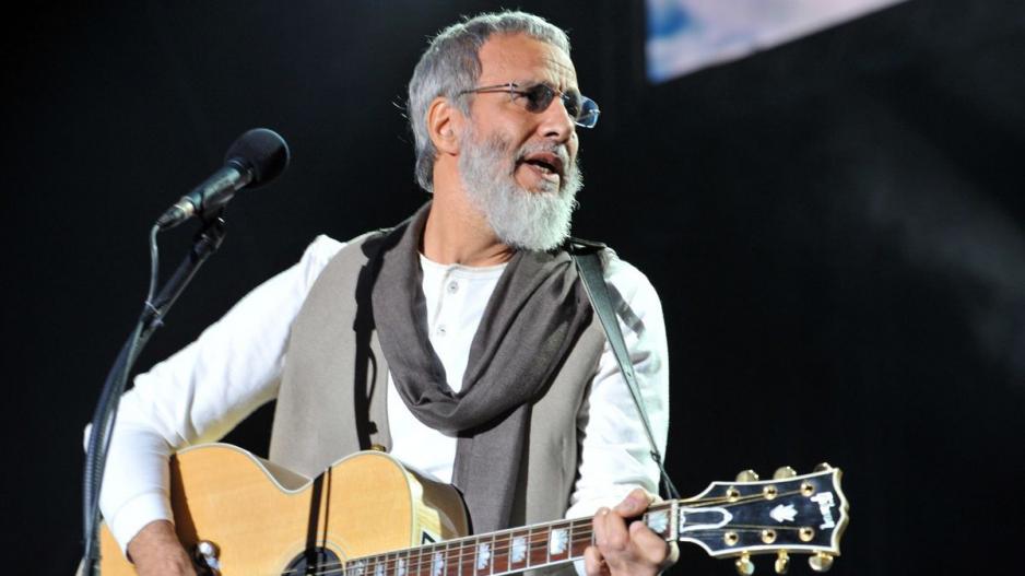 Cat Stevens now